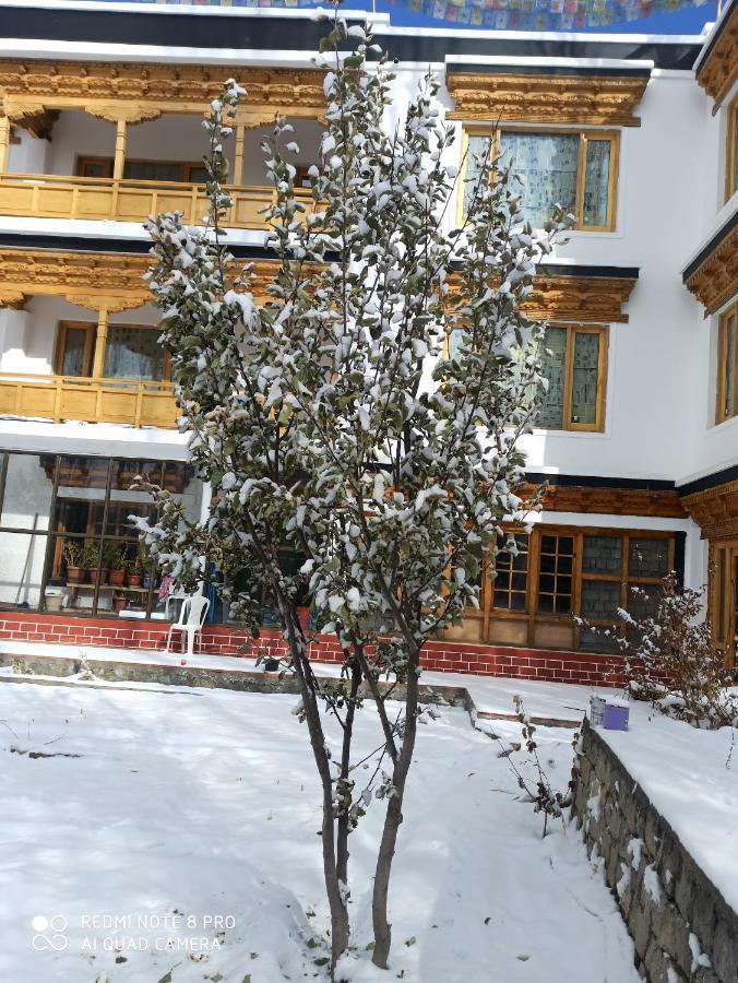 Rock Castle Residency Hotel Leh Eksteriør billede