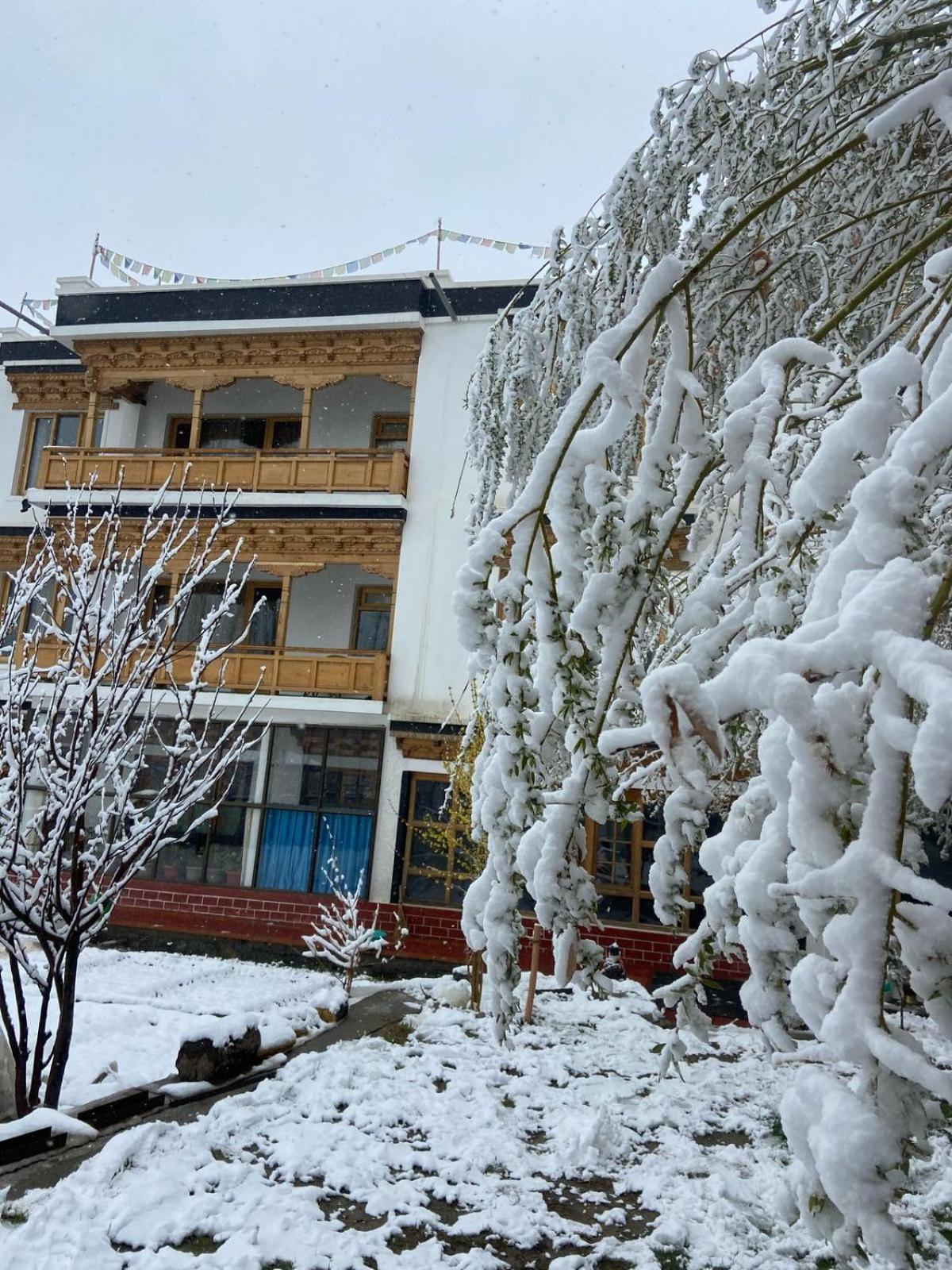 Rock Castle Residency Hotel Leh Eksteriør billede